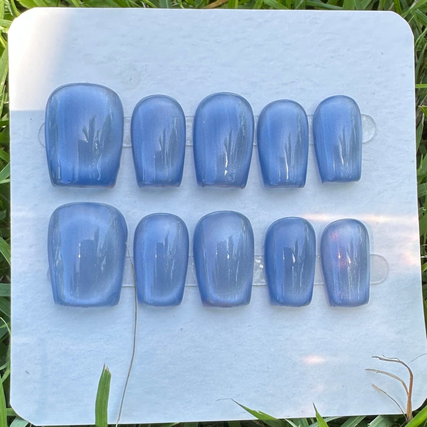 Blue cay eyes press on nails on a white card on grass