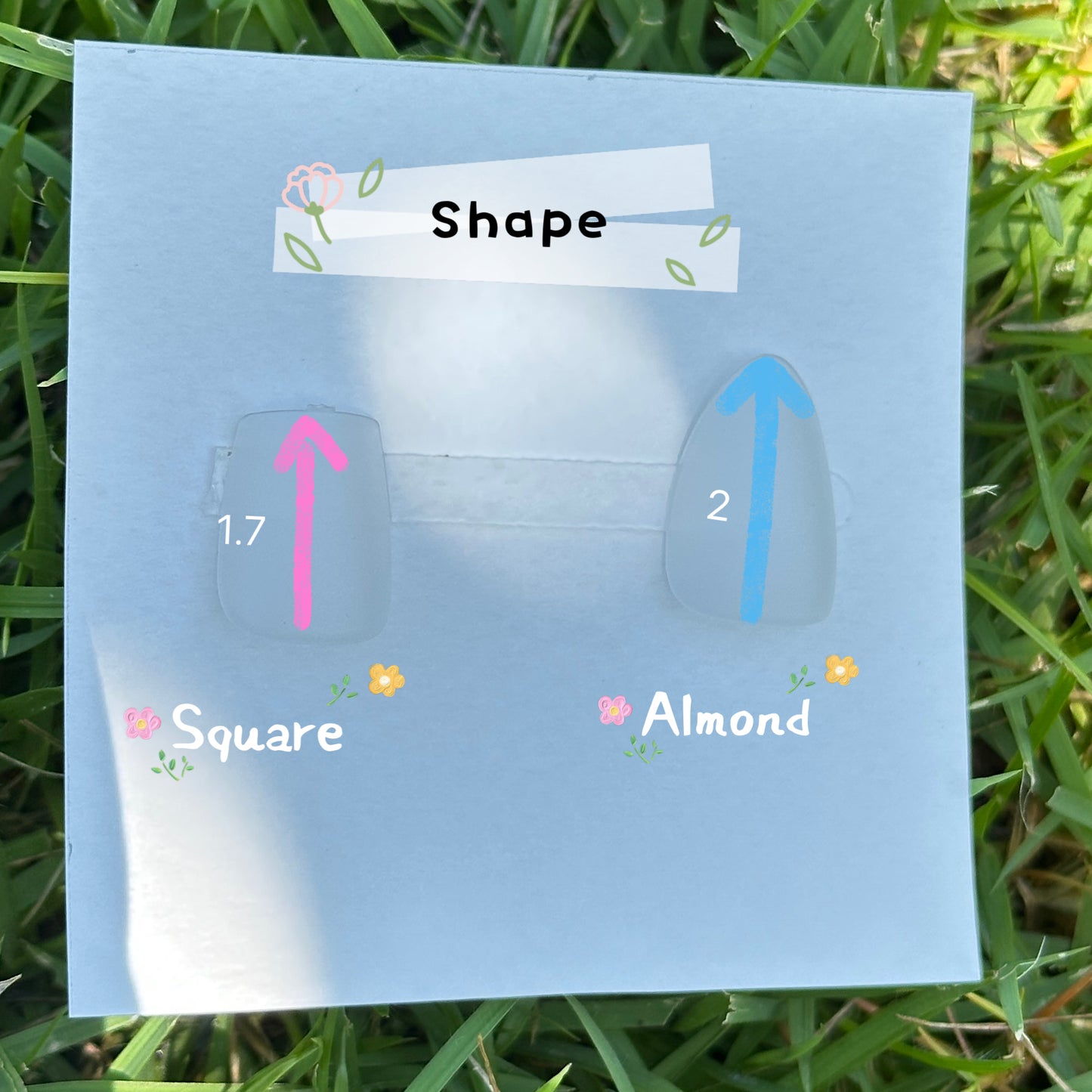 shape chart square 1.7 cm almond 2 cm